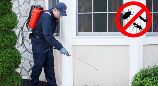 Defne Kemirgen İlaçlama böcek ilaçlama ve haşere kontrolü — ilaclama-tr.com